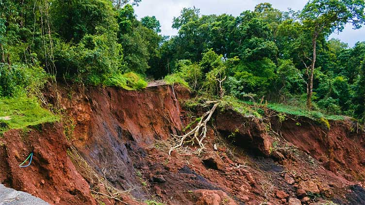 Landslide kills 16 in Indonesia's Central Java, official says