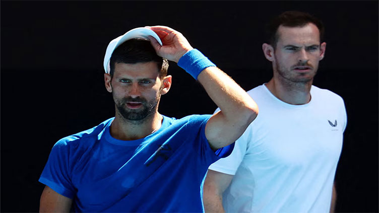 Novak Djokovic, Andy Murray undecided about player-coach relationship