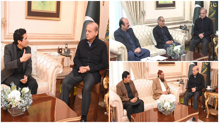 State Minister Ali Pervaiz calls on PM Shehbaz