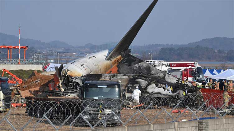 Bird feathers and bloodstains found in Jeju jet engines: report