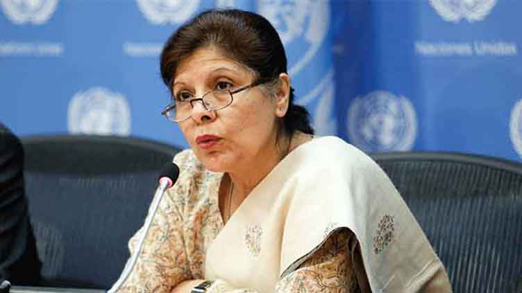 Pakistan needs $50b to tackle climate change: Dr Shamshad Akhtar