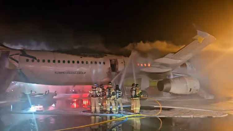 Air Busan Airbus plane catches fire at South Korea's Busan airport