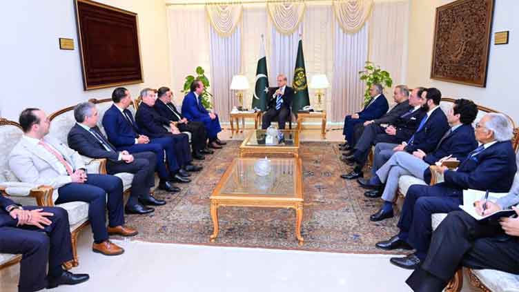 PM Shehbaz vows business-friendly environment for foreign investors