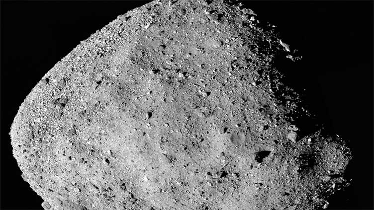 'Building blocks of life' found on alien asteroid, scientists say