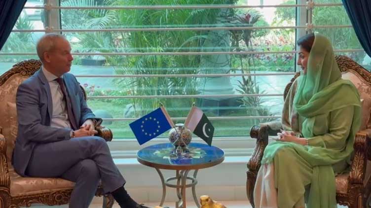 EU rep meets CM Maryam, lauds human rights situation in Punjab 