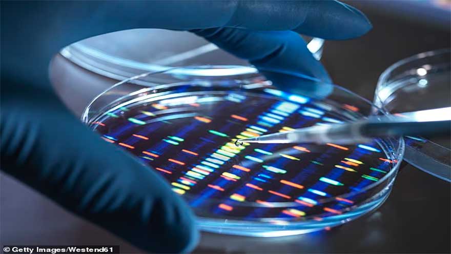 Scientists sound alarm over lab-made human DNA as 'God-like' project moves forward