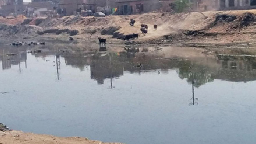 Bodies of four missing girls found in Larkana pond