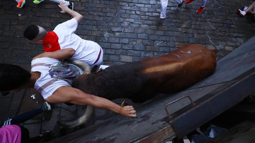One man gored and seven others bruised in Spain's bull running festival