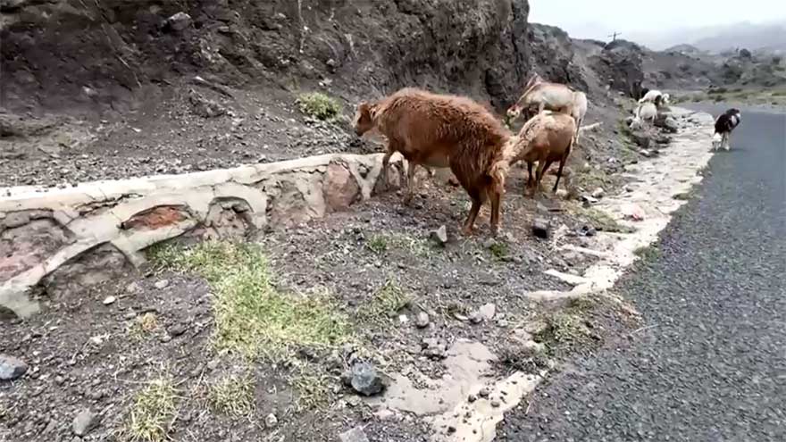 Yemen's rural communities struggle as drought deepens