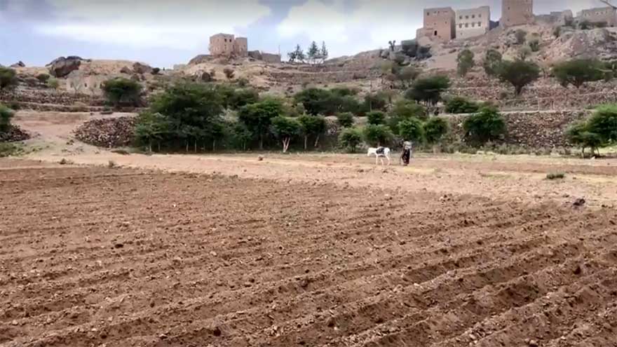 Yemen's rural communities struggle as drought deepens