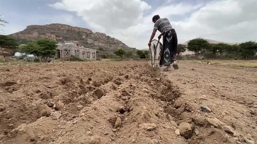 Dunya News Yemen's rural communities struggle as drought deepens