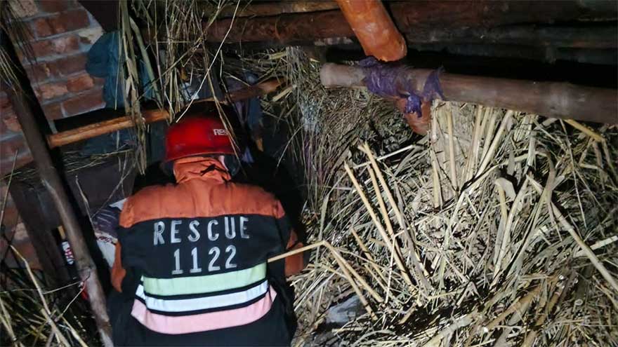 Roof collapse in Lahore leaves five dead, two injured