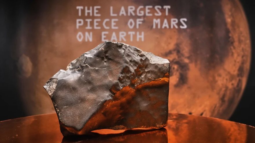 Largest piece of Mars on Earth fetches $5.3 million at auction, but young dinosaur steals the show