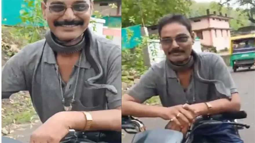 Man dies from snakebite after putting rescued reptile around his neck