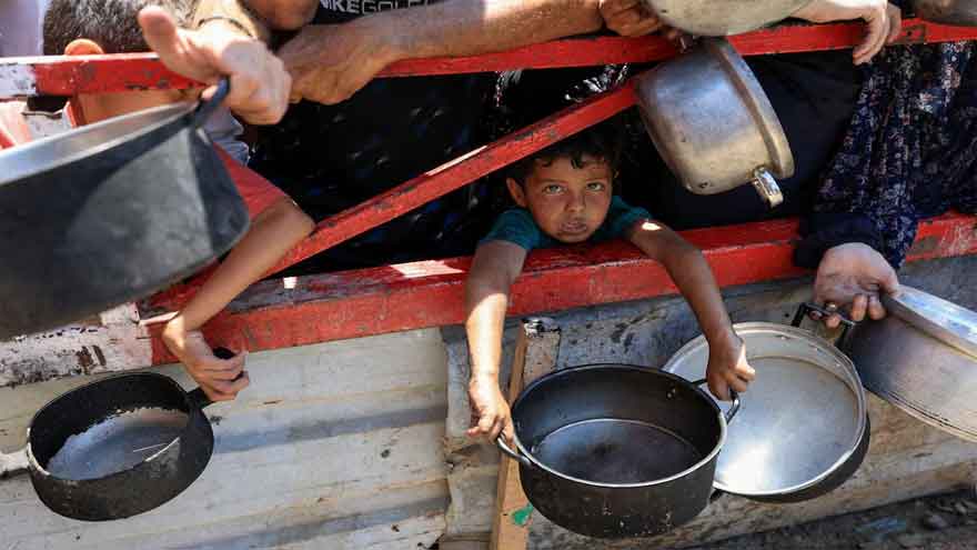 Dunya News More than 100 aid, rights groups call for action as hunger spreads in Gaza