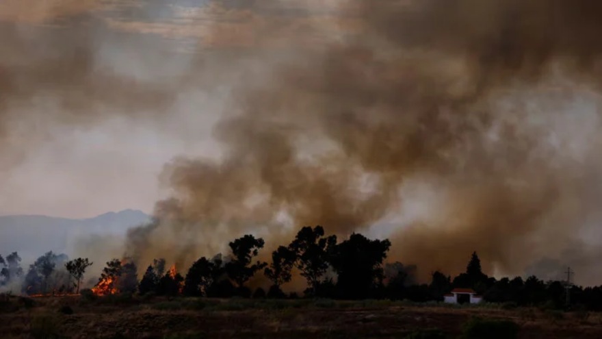 In landmark opinion, ICJ declares climate change 'existential threat'