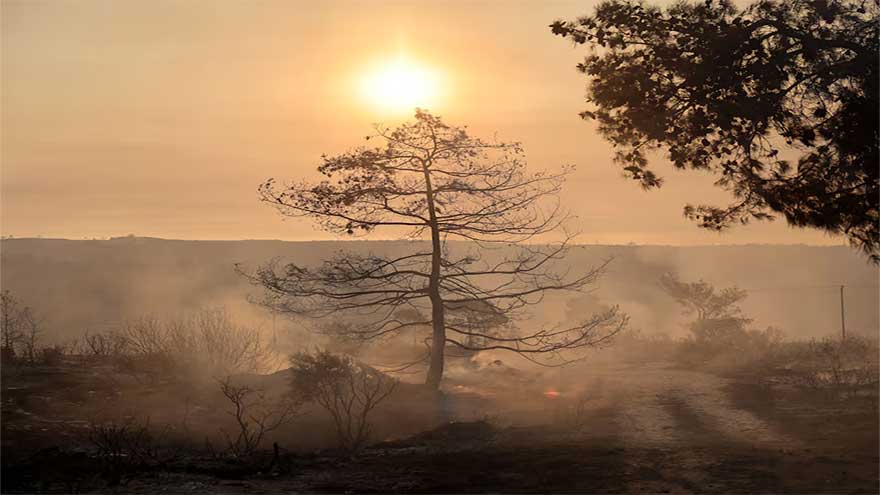 Two dead, homes burn in massive wildfire in Cyprus