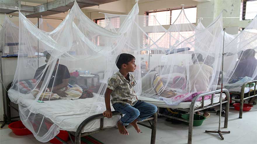 This year's first death from dengue reported in Karachi