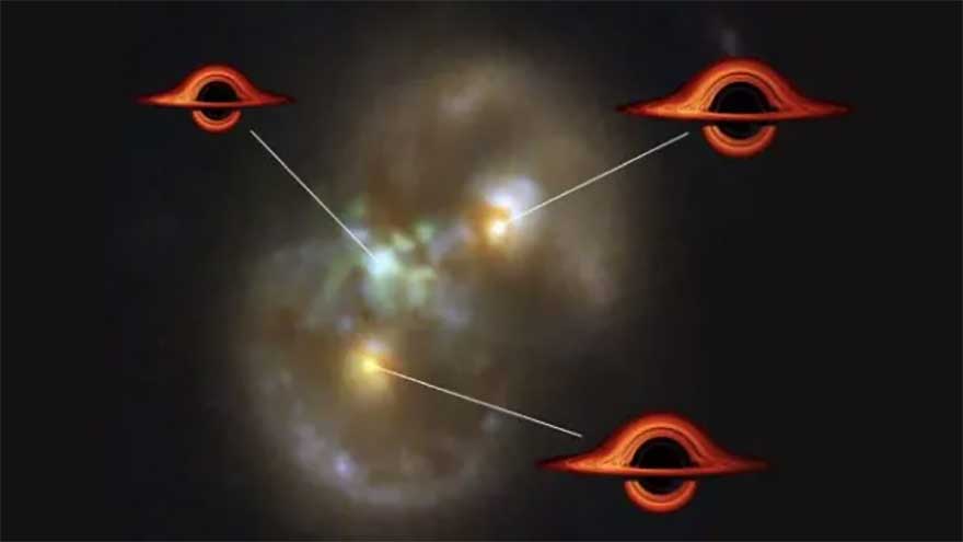 Rare secrets among stars