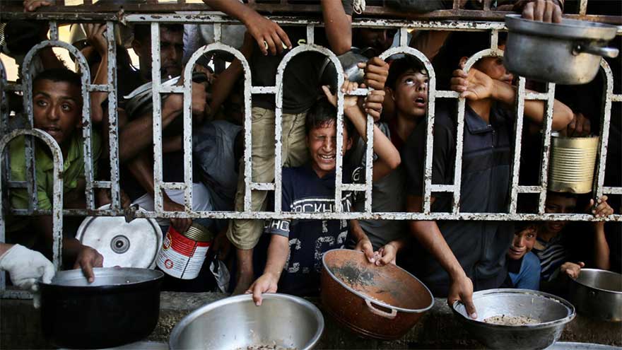 WHO says malnutrition reaching 'alarming levels' in Gaza