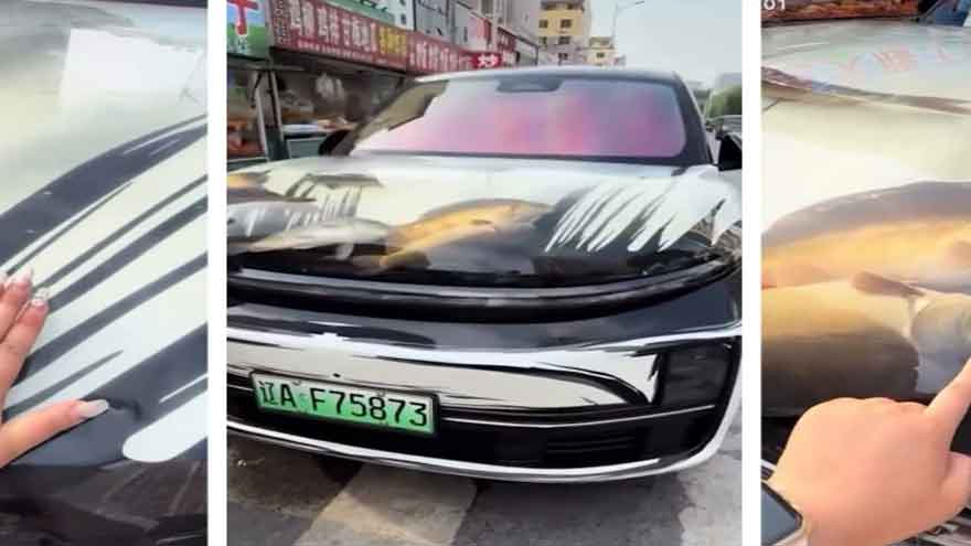 Driver in China turns car bonnet into fish tank - literally 