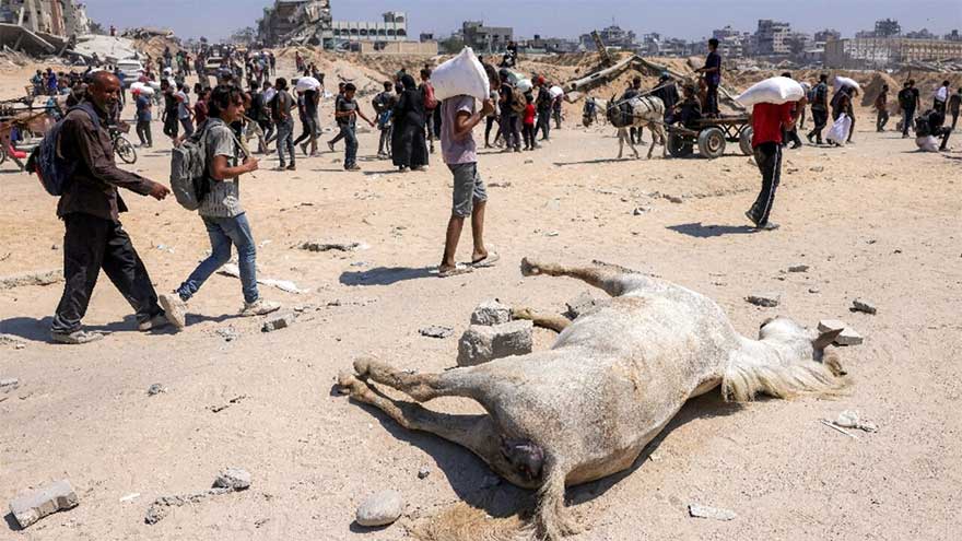 Trump warns of 'real starvation' in Gaza as aid deliveries pick up