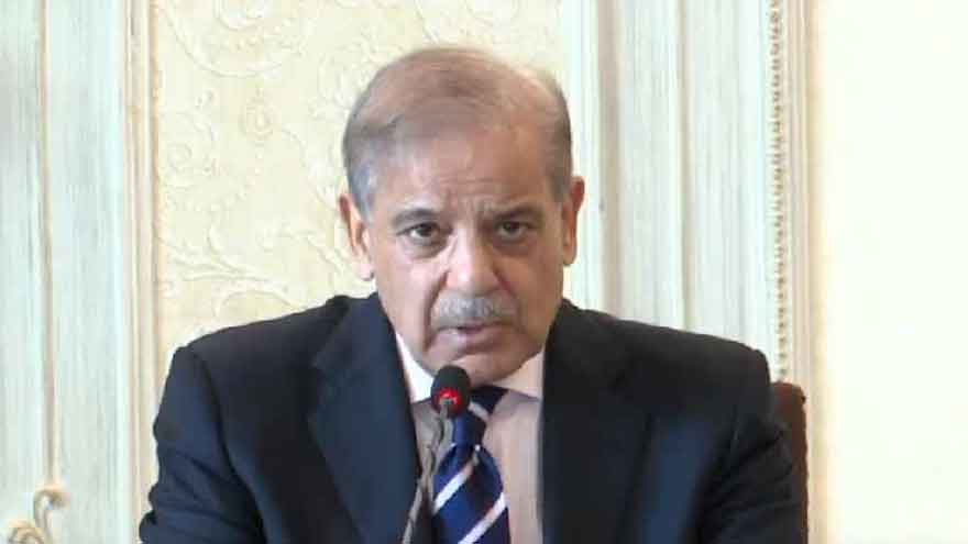 Dialogue with IPPs helped generate billions: PM Shehbaz