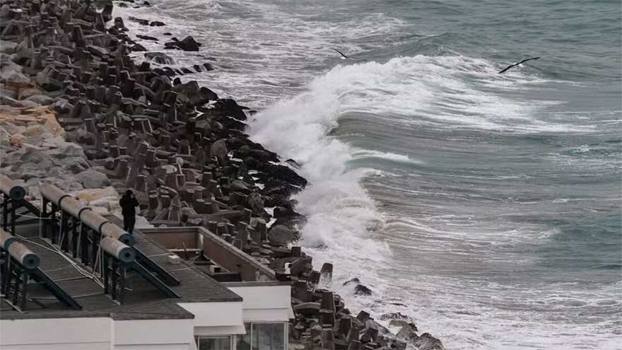 Dunya News Millions of evacuees return home as tsunami warnings lifted across Pacific