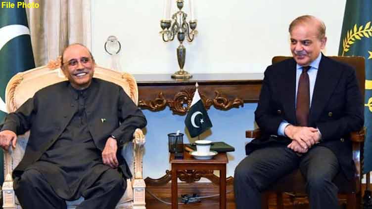 PM Shehbaz briefs President Zardari on recent foreign visits
