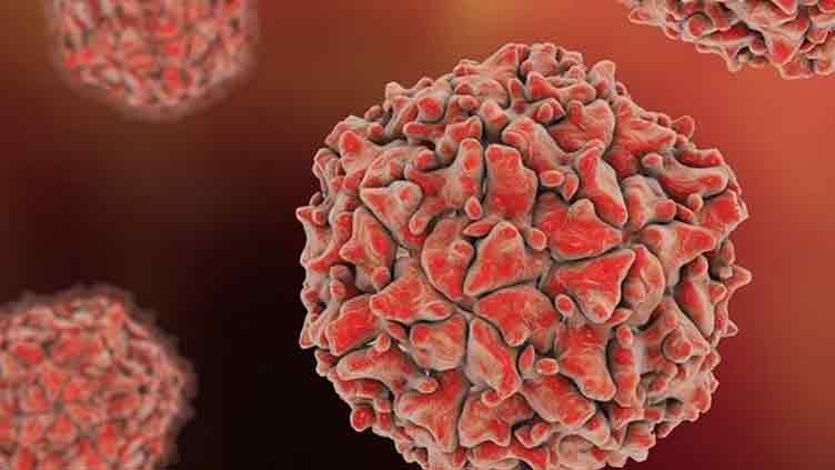 Gilgit-Baltistan reports first polio case