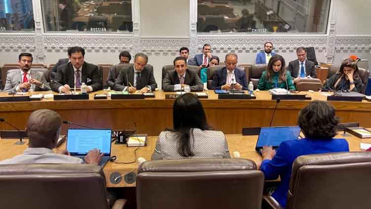 Pakistan urges UNSC to play role in de-escalation, conflict resolution