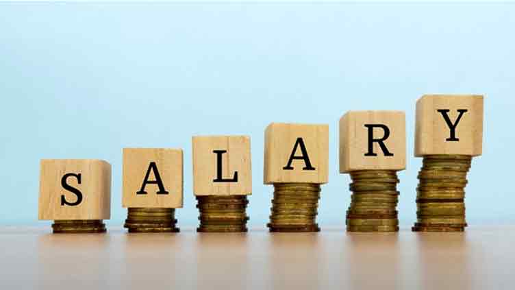 Govt mulls multiple proposals to raise salaries in upcoming budget