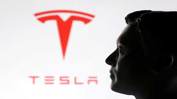 Tesla shares rebound as Musk–Trump row shows signs of cooling
