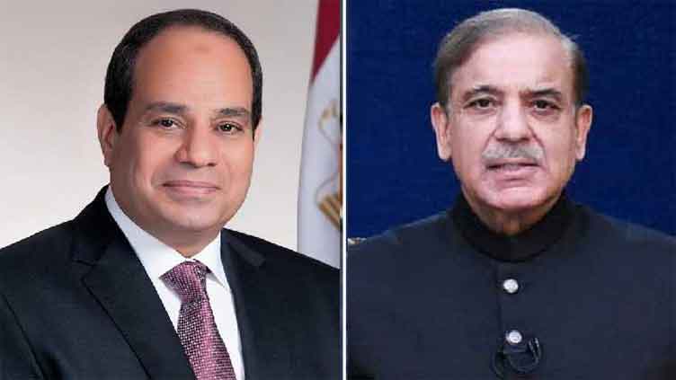 PM Shehbaz, Egyptian president vow to strengthen bilateral ties
