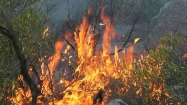 Wildfire in Malakand's Bata mountains rages for third day
