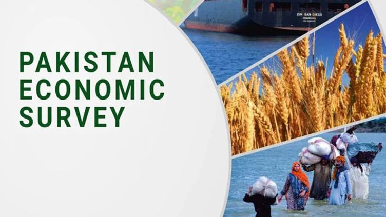 FinMin Aurangzeb set to present Economic Survey 2024-25 today