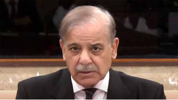 PM Shehbaz vows to take country forward on path of economic growth