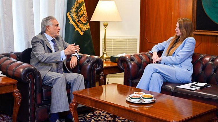 Ishaq Dar, UK High Commissioner discuss bilateral ties