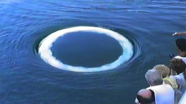 Scientists identify strange 'communication' of non-human intelligence in Earth's oceans