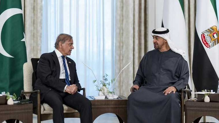 PM Shehbaz discusses regional situation with UAE president