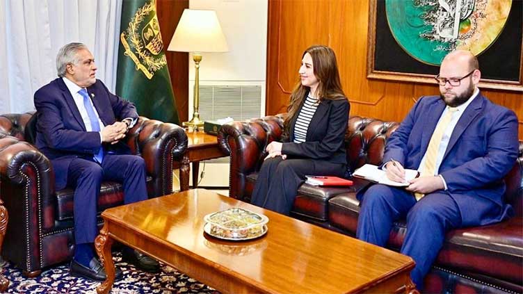 DPM Ishaq Dar, US diplomat discuss ties