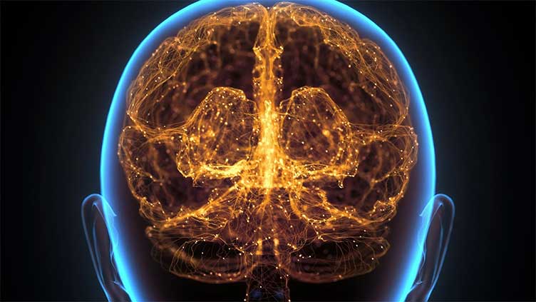 Long work hours may physically alter your brain, scientists warn
