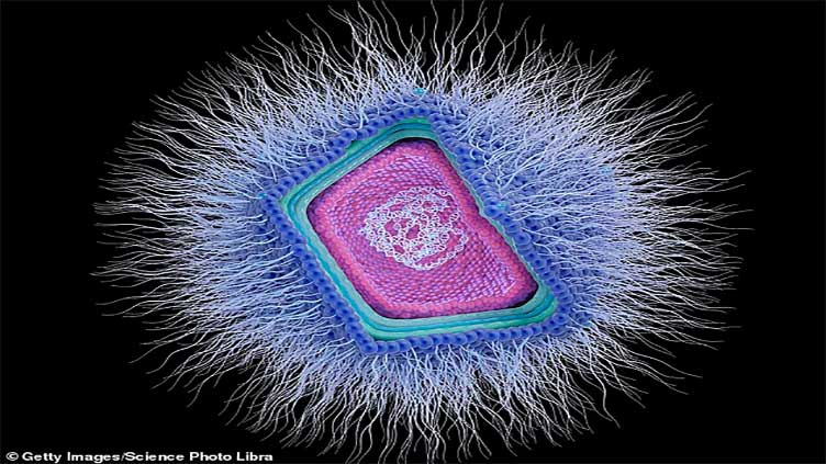 Scientists discover hundreds of mysterious giant viruses lurking in ocean