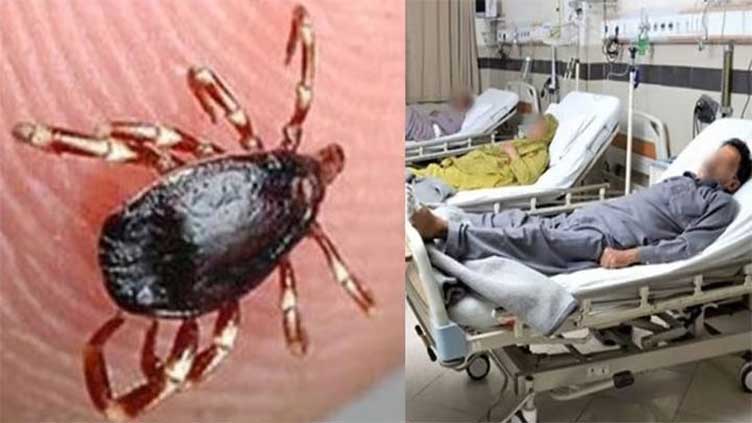 First death from Congo fever reported in Sindh