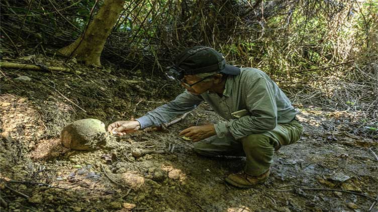 Dunya News Bone collectors: searching for WWII remains in Okinawa
