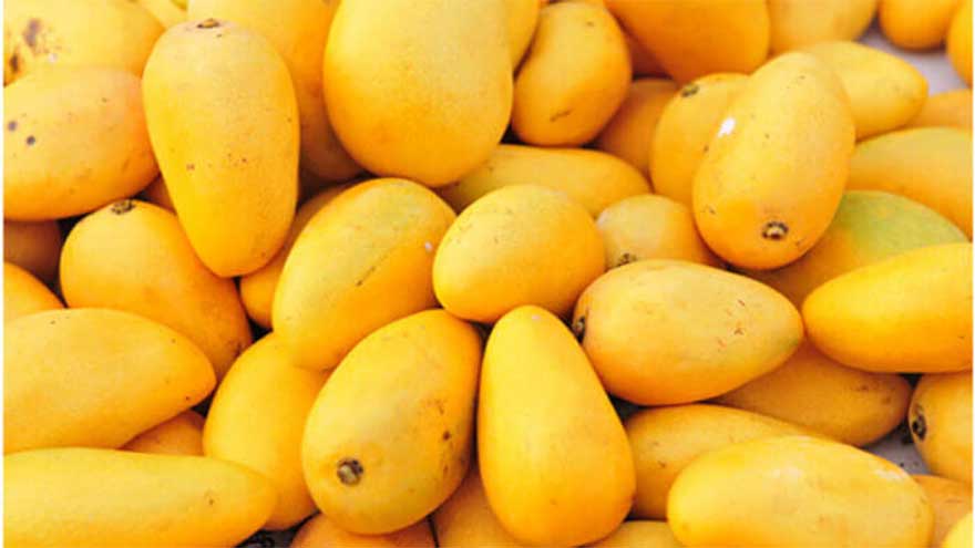 Pakistan sets target of exporting 125,000 tons of mangoes to Middle East