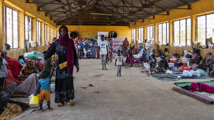 Driven to starvation, Sudanese people eat weeds and plants to survive as war rages