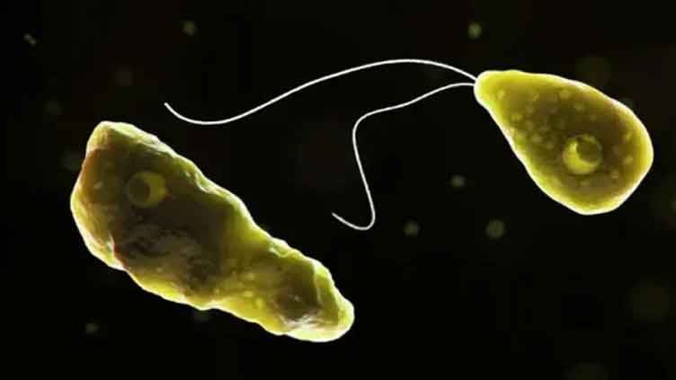 Karachi reports first Naegleria death of 2025