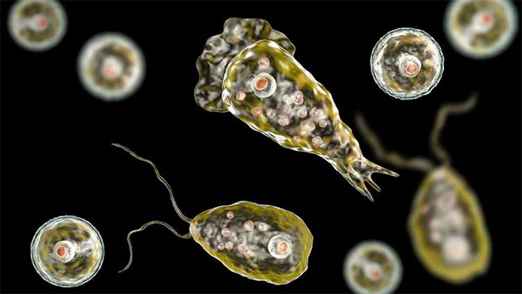 Woman dies as Karachi reports first death in 2025 from brain-eating amoeba