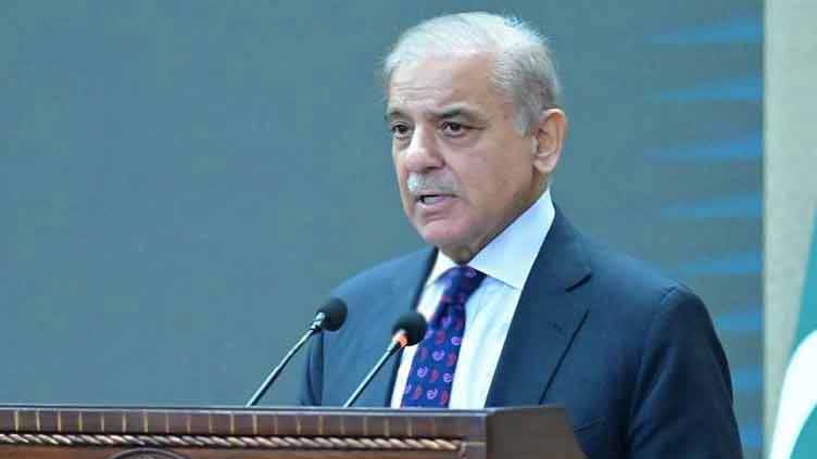 PM Shehbaz to announce power tariff cuts as petroleum prices remain unchanged